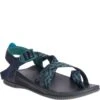 Chaco Men's Z/Canyon 2 Sandals - Herald Mallard