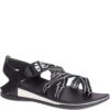 Chaco Women's Z/Canyon 2 Sandals - Wubwub Black